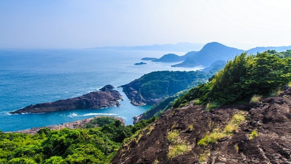If You Want to Enjoy Meals Unique to a Port Town, This Is the Place!  6 Recommended Gourmet Spots in Hyūga City