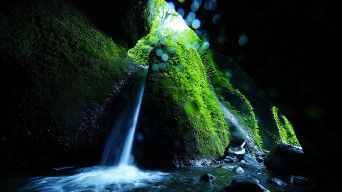[Hyogo/Shin Onsen Town] Shiwagara Falls | Overwhelmed by a Mystical Waterfall! Also Introducing Nearby Tourist Spots