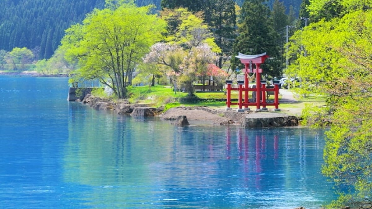 Top 4 Love Power Spots in Akita Prefecture: Where Even Akita Beauties Visit for Romance!