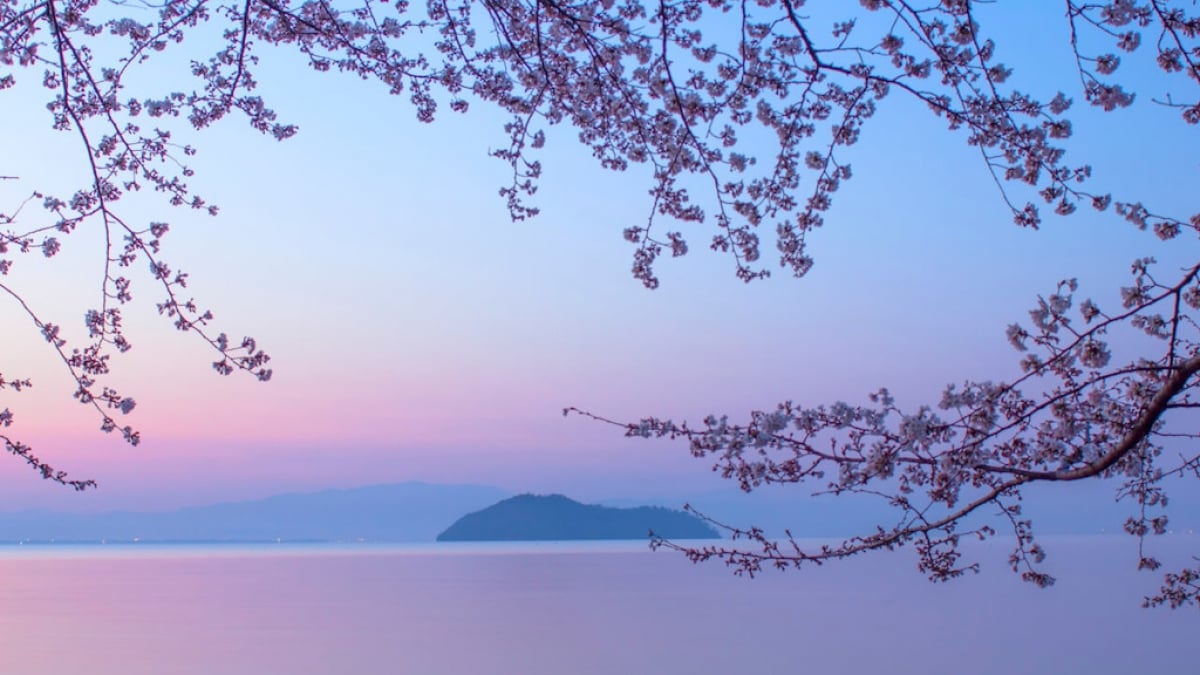 11 Recommended Tourist Spots in Takashima City: Enjoy the Nature & Culture of the Lake and Satoyama!