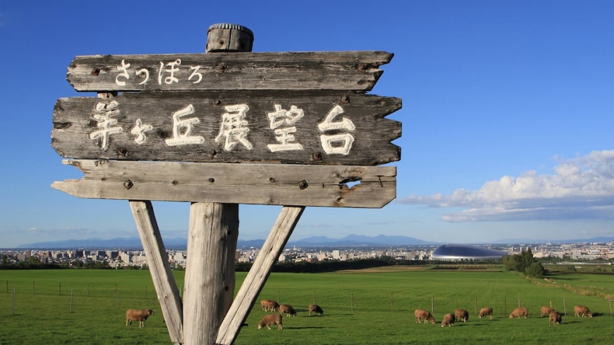 Experience Sapporo’s Nature and Gourmet Delights! A Guide to Sapporo Hitsujigaoka Observation Hill