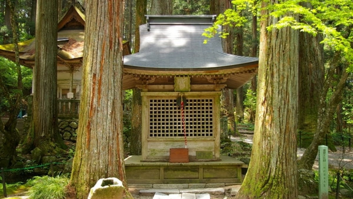 Japan’s Happiest Prefecture! 5 Powerful Spiritual Sites in Nagano for Blessings