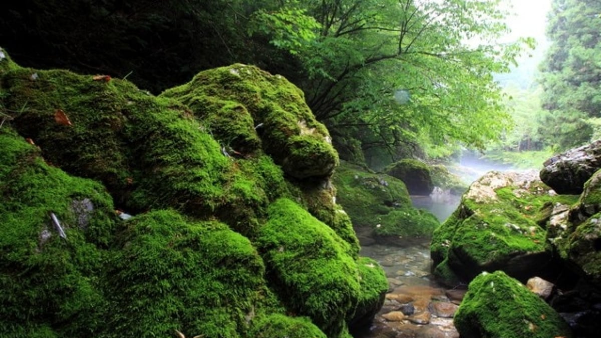 If you go to Yamagata City in Gifu Prefecture, here are 7 must-visit tourist spots!