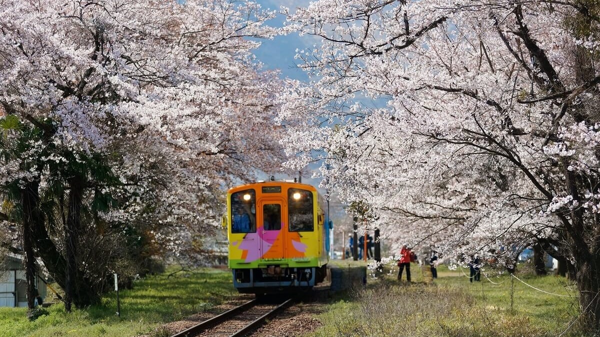 Forget the hustle and bustle of the City in Ibigawa Town, Gifu Prefecture! 7 recommended sightseeing spots
