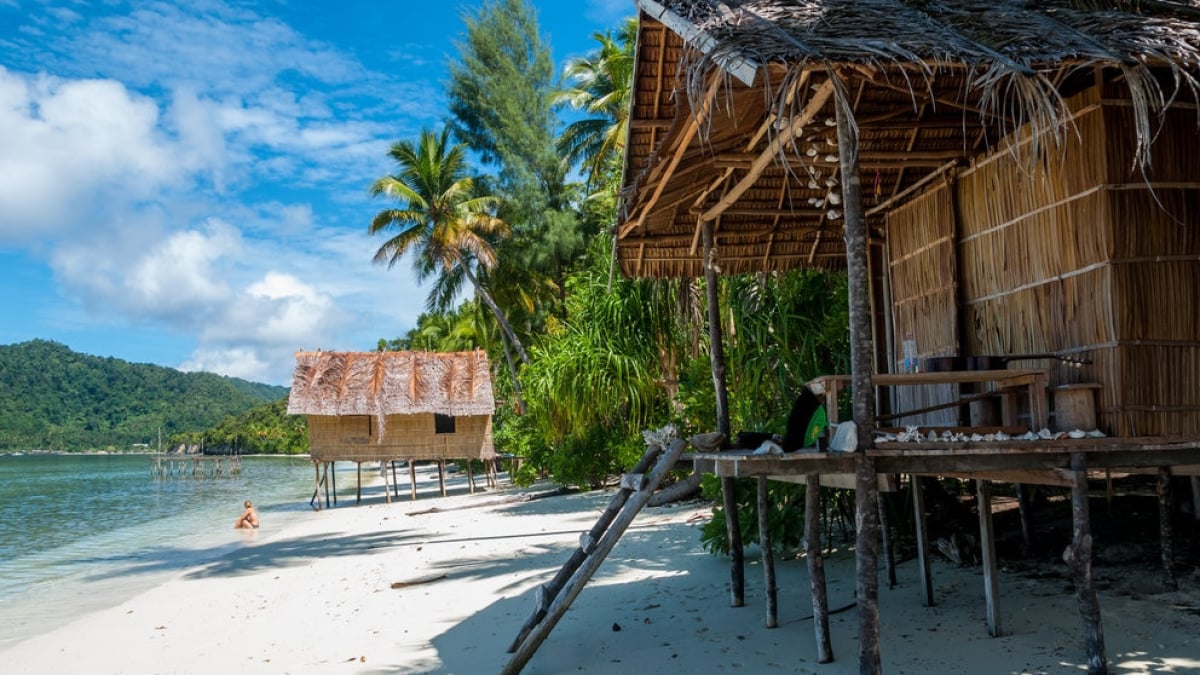 Paradise of the South Pacific! 4 Souvenirs from Nature-Rich Papua New Guinea