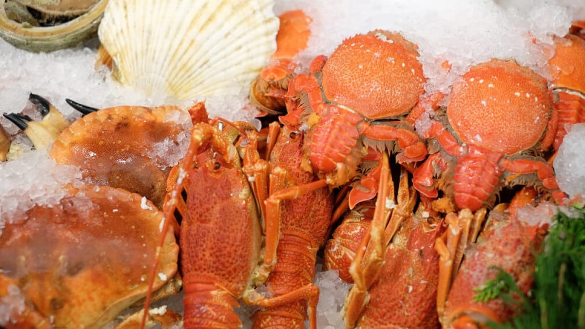 Authentic & Safe! 4 Must-Try Seafood Restaurants on the South Side of Kaohsiung Station