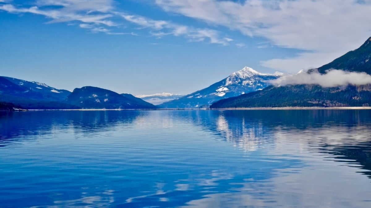 Introducing Sightseeing Spots in Castlegar, Rich in Trees and Water!