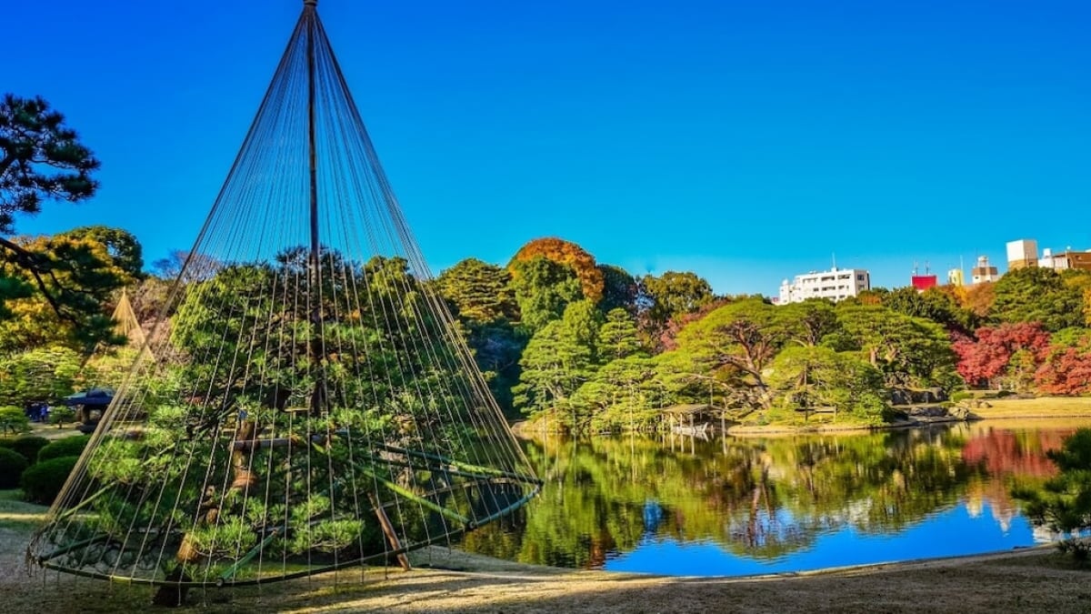 A Hidden Gem of History and Culture! 5 Must-Visit Attractions in Komagome