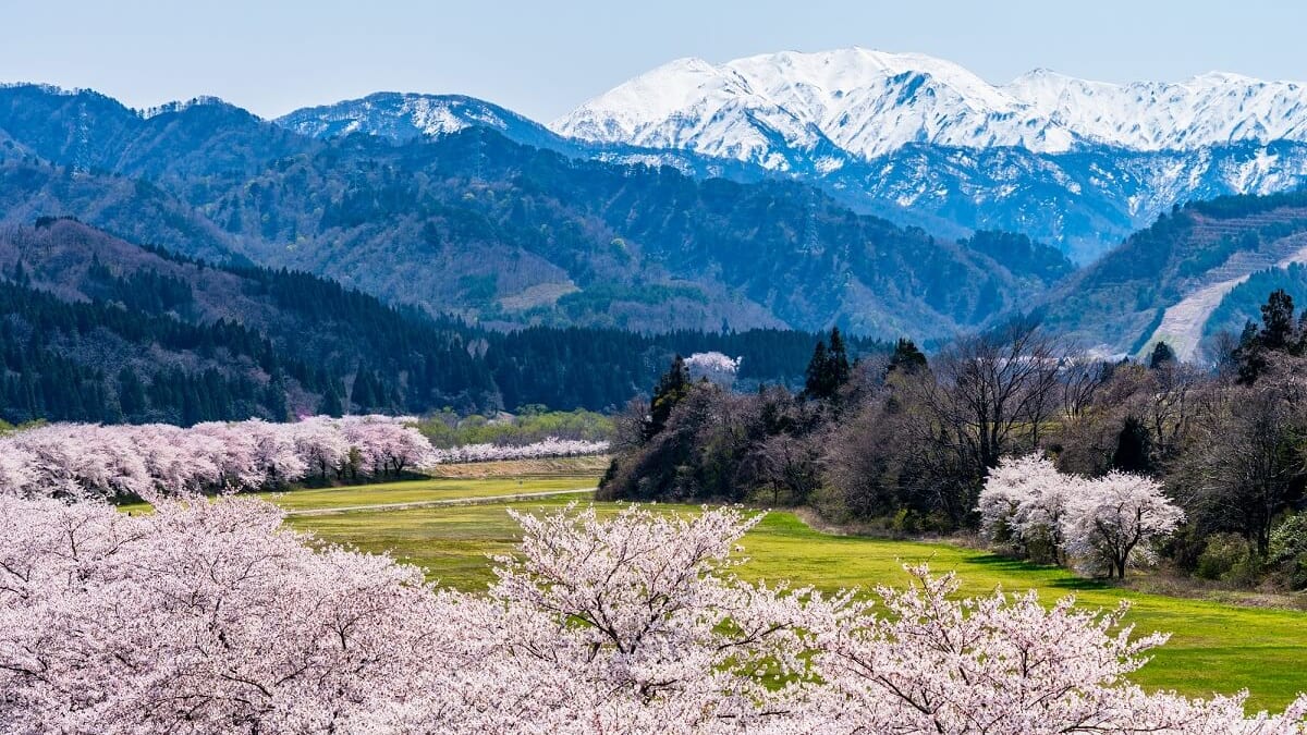 A Town Where Nature Comes Alive! 5 Recommended Tourist Spots in Tainai City, Niigata Prefecture!