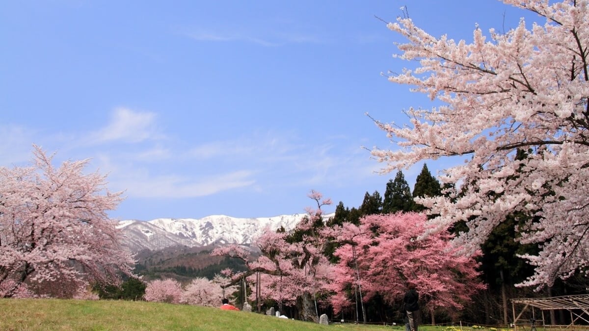Full of Charm! 5 Must-See Tourist Spots in Shirataka Town, Yamagata Prefecture