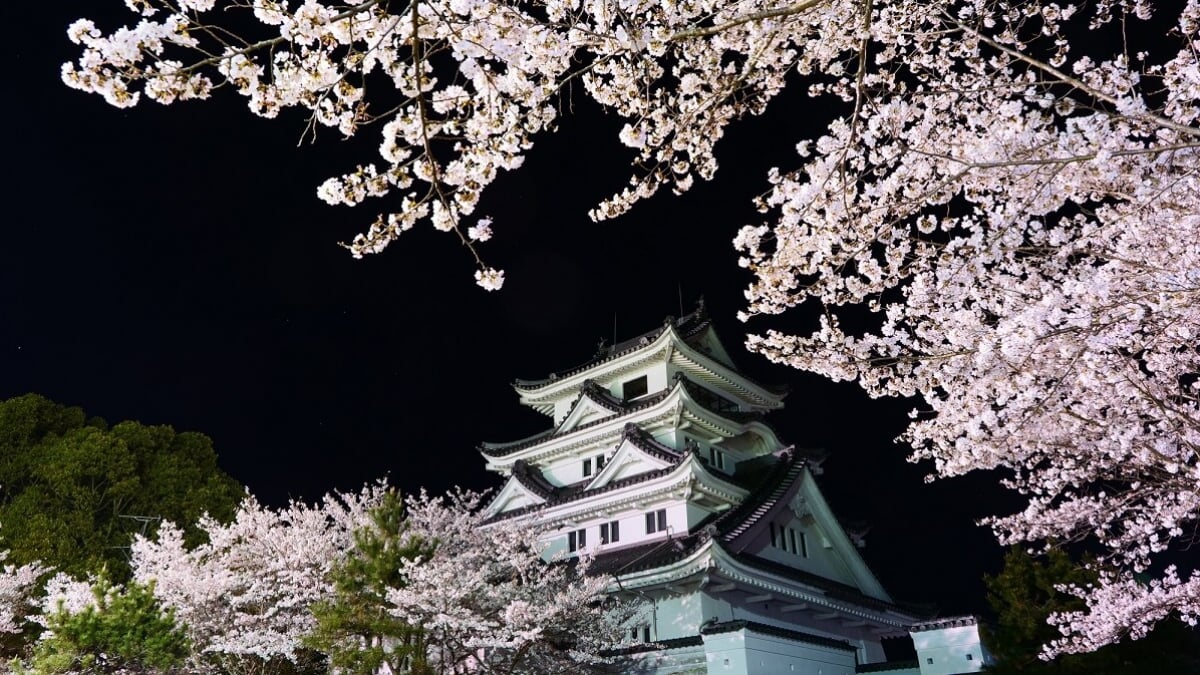 7 Selected Tourist Attractions to Enjoy Yoshinogawa City, Tokushima! (A Must-Check for Those Who Want a Relaxing Trip!)