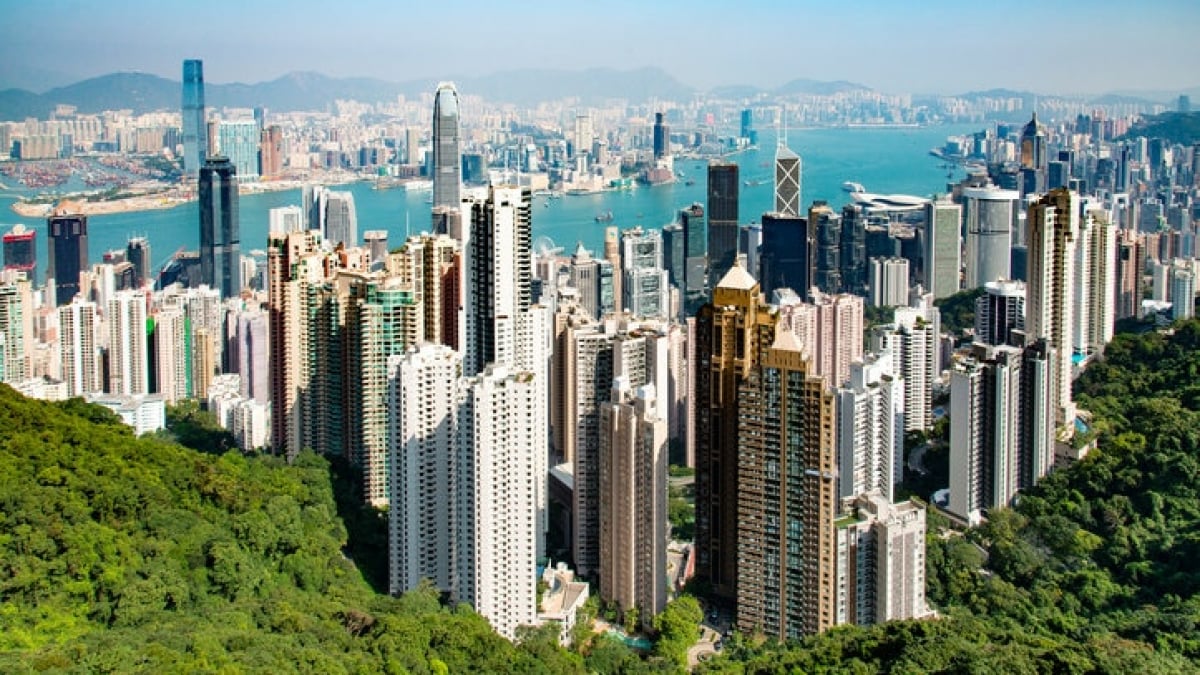 The True Hong Kong: 3 Chinese Cuisine Gems to Savor in Tsim Sha Tsui