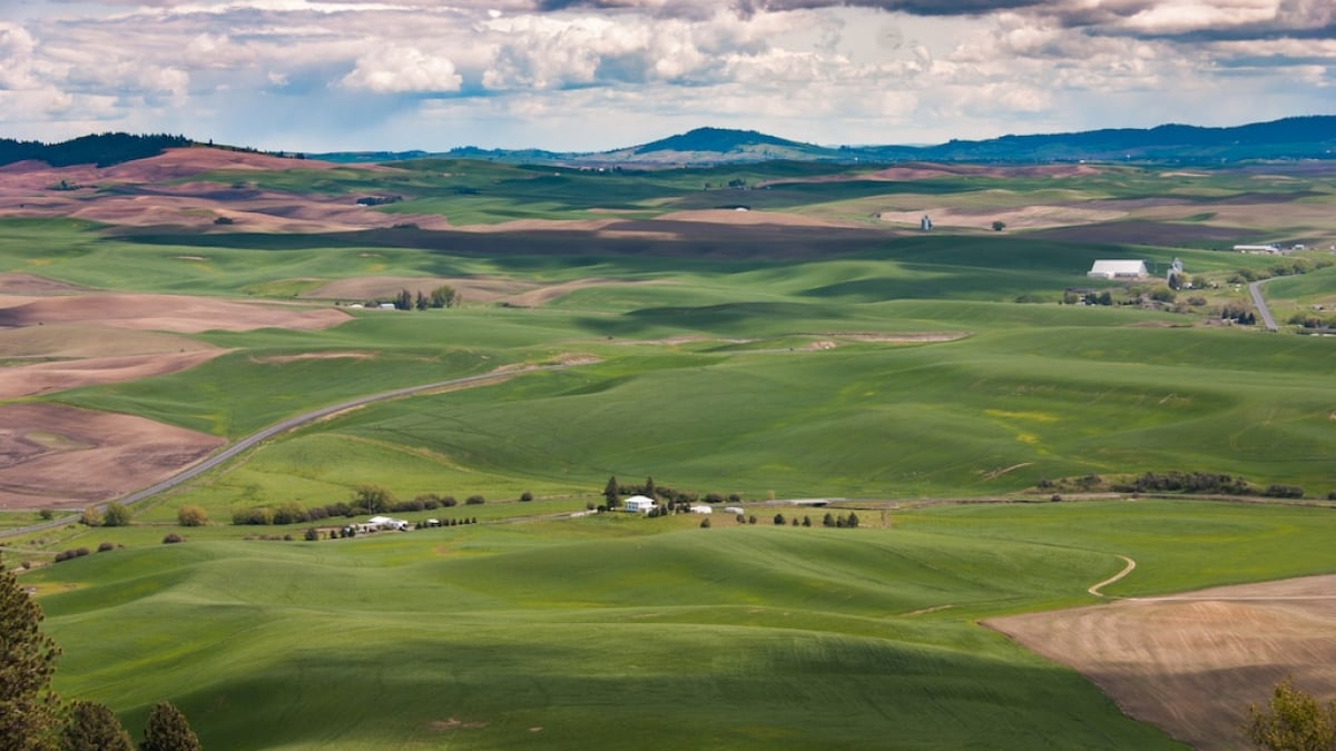 Recommended Tourist Spots in Pullman, Washington – Explore the University Town with Its Unique Vibe!