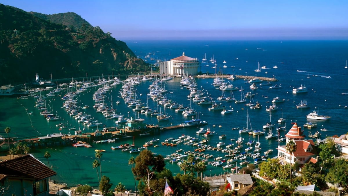 A Celebrity Resort Close to Los Angeles! Tourist Attractions on Santa Catalina Island