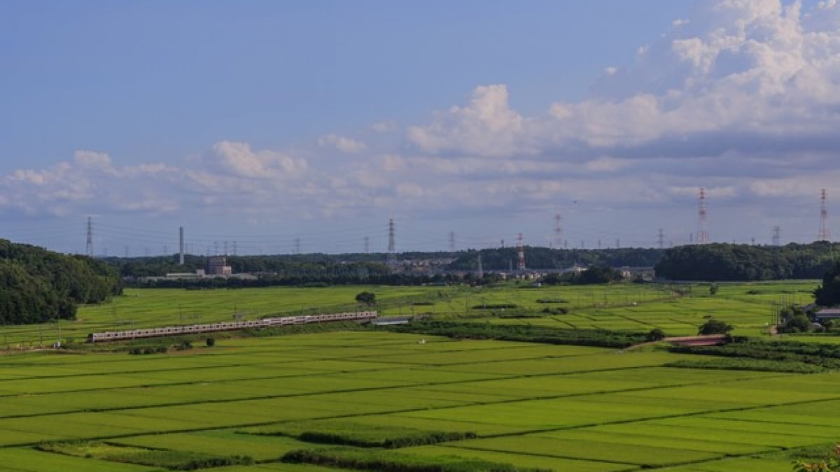 9 Recommended Tourist Spots in Sakura City – A Paradise for History Lovers!