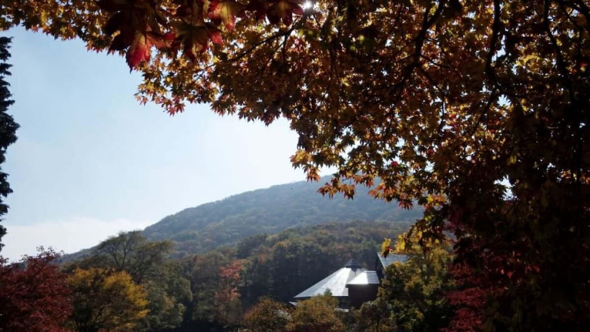 12 Recommended Tourist Spots in Shobara City, Hiroshima – A Nature & History-Rich Journey