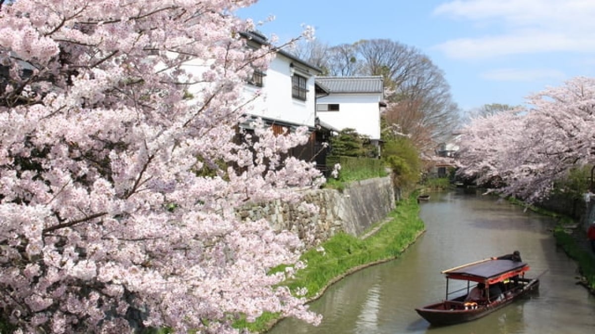 9 Must-Visit Tourist Spots in Omihachiman, the Hometown of the Omi Merchants — From Modern Architecture to the Ruins of Nobunaga’s Castle