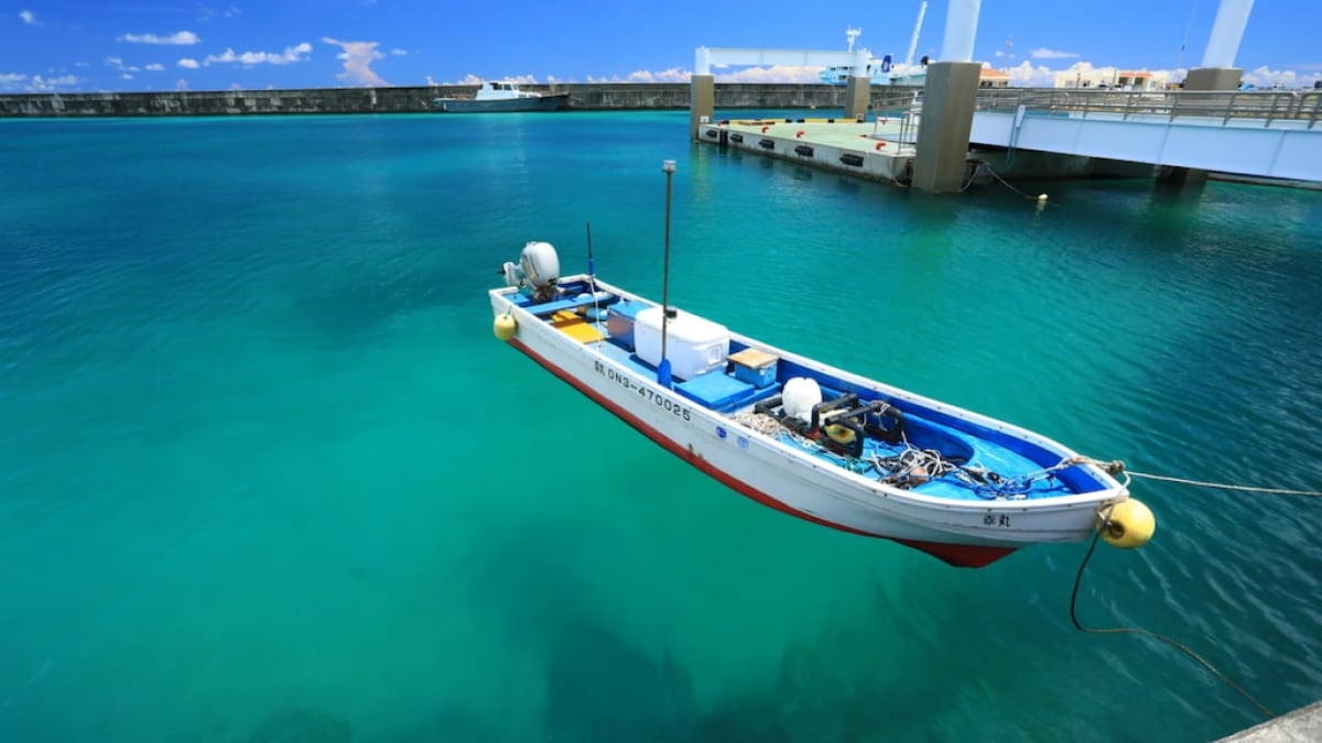 5 Souvenirs from Tarama Island! Recommended Simple Sweets Made with Brown Sugar