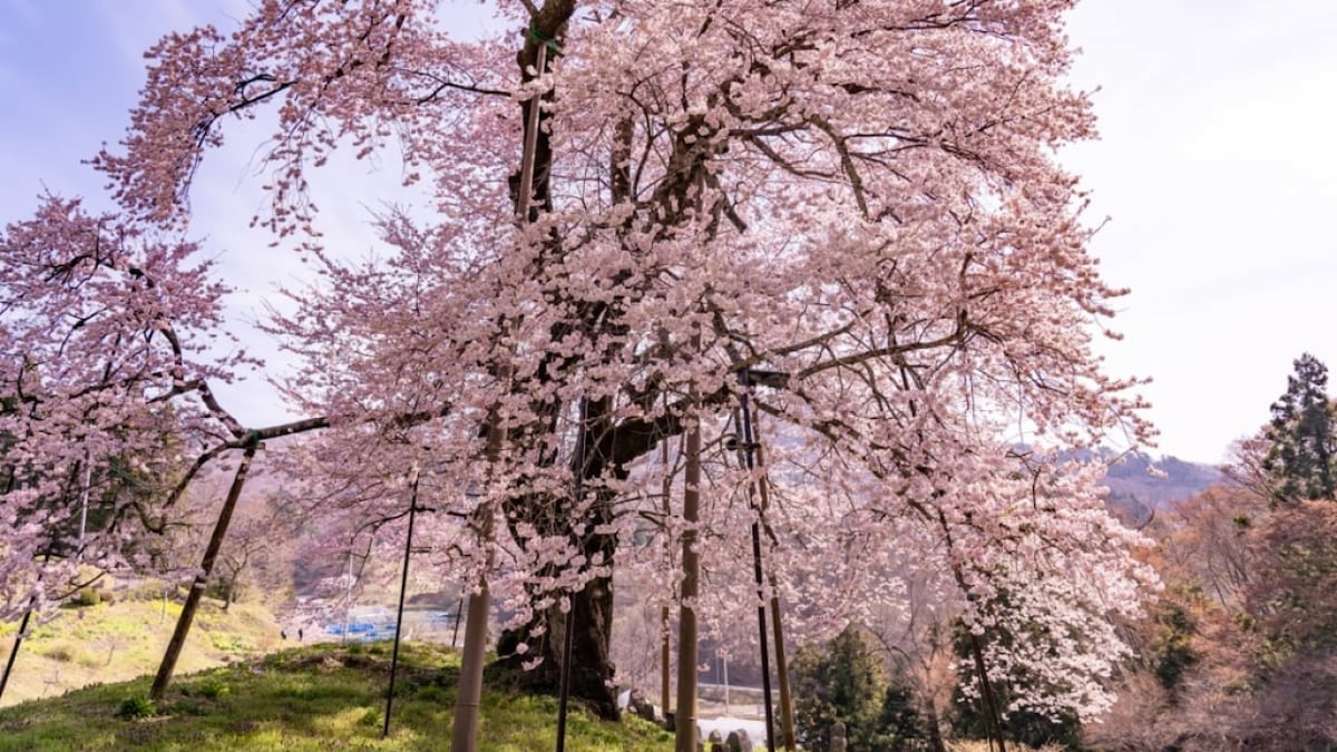 7 Recommended Tourist Spots in Kawamata Town, Fukushima Prefecture! Fully Enjoy the Silk Village!