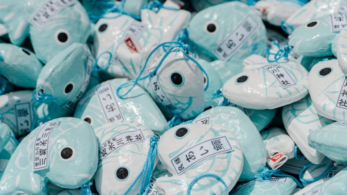 Matchmaking at Kawagoe Hikawa Shrine|Let’s Head Out to Saitama’s Popular Power Spot!