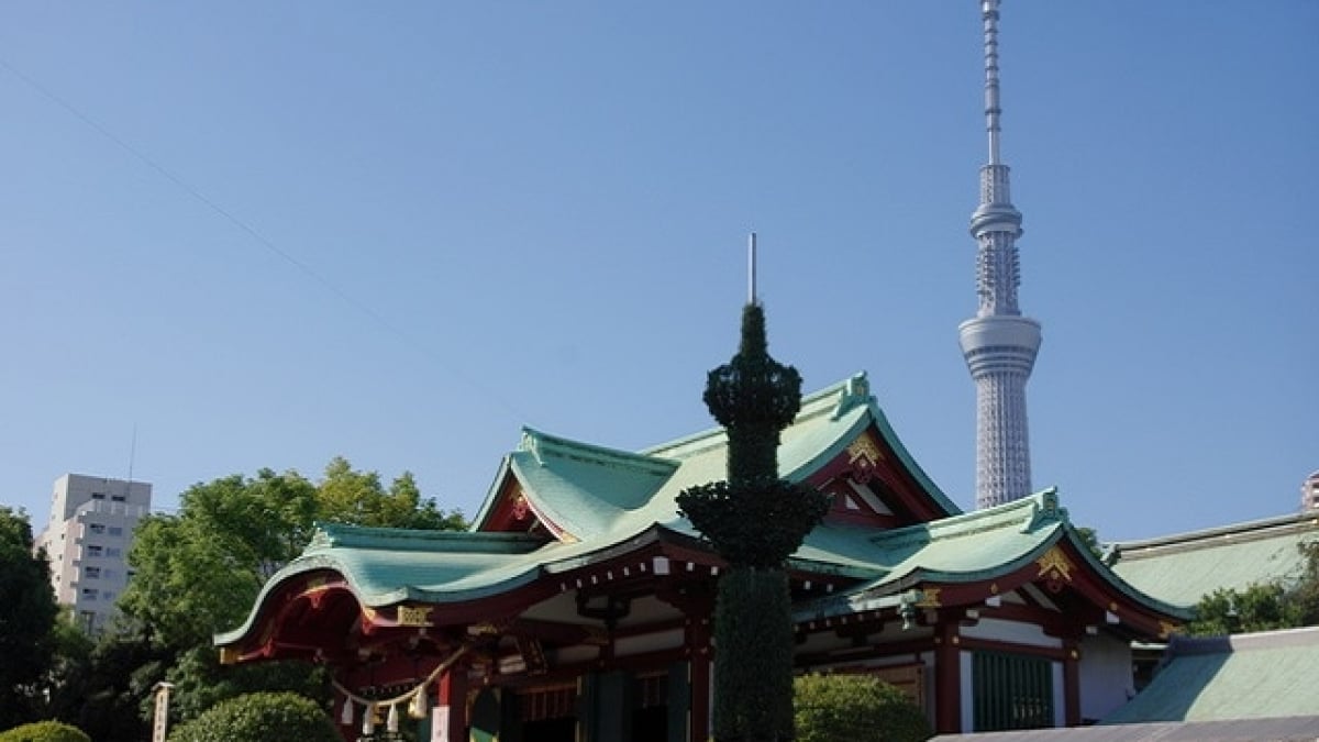 10 Must-Visit Tourist Spots in Kameido! Experience the Ambience of Edo!