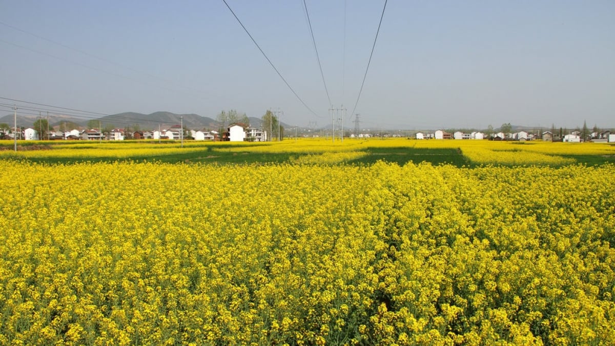 5 Must-See Tourist Spots in Hanzhong, Shaanxi Province for History Fans – From Liu Bang to the Romance of the Three Kingdoms!