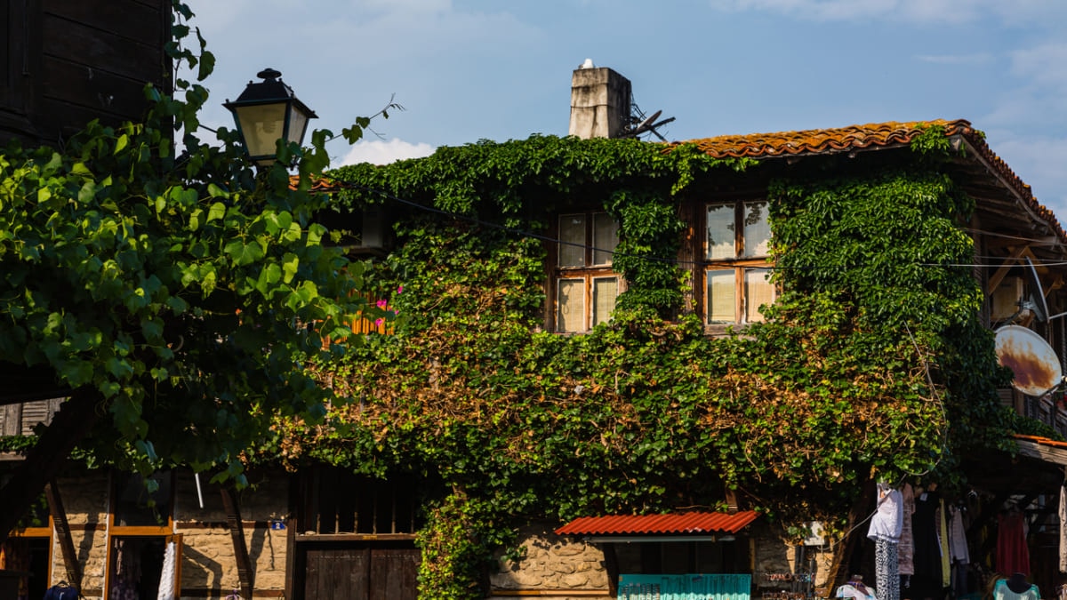 Roses, Yogurt, and Wine Await! Nine UNESCO World Heritage Sites in Bulgaria