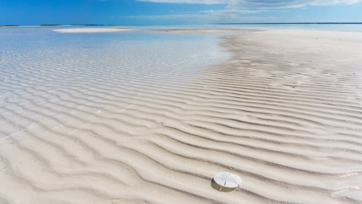Two-Colored Seas and a Pink Beach! 4 Must-Visit Spots in North Eleuthera