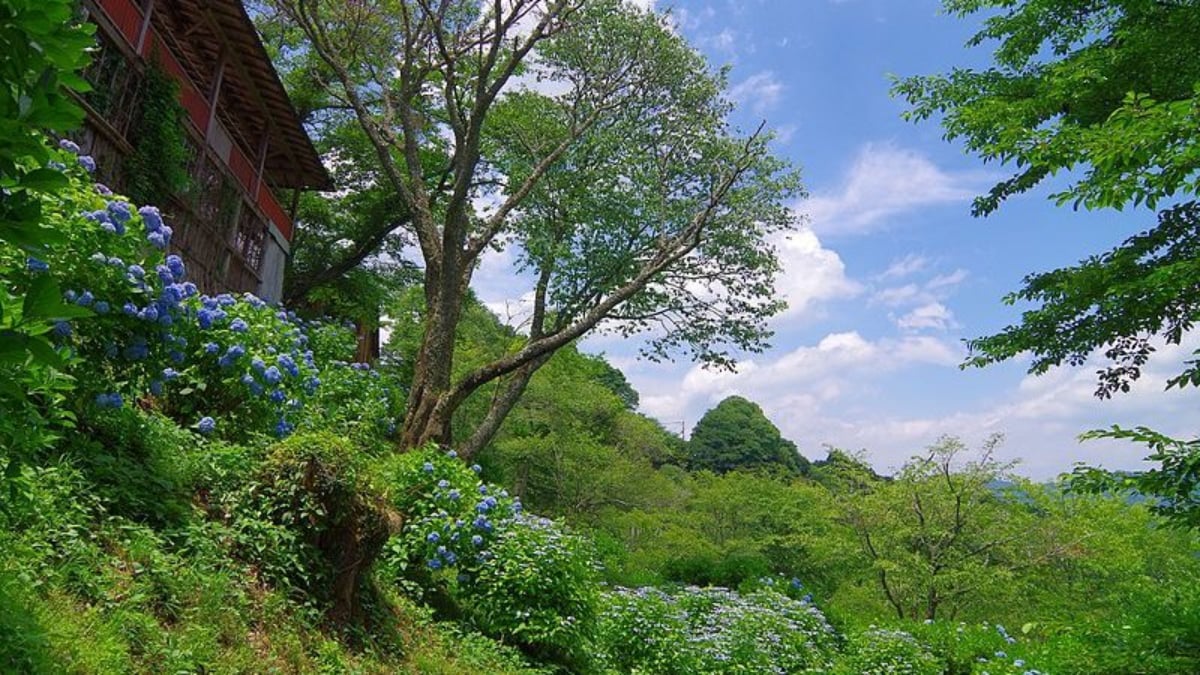 6 Breathtaking Scenic Spots in Nara: A Land Full of Nature’s Beauty Loved Since Ancient Japan