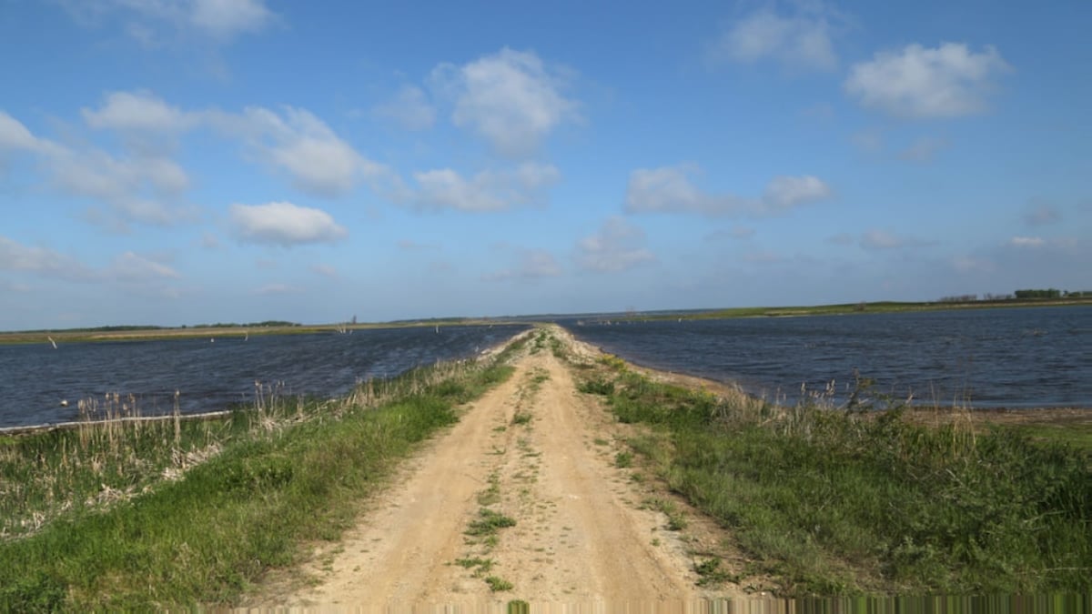 Recommended Tourist Spots in Devils Lake, North Dakota, Rich in Nature