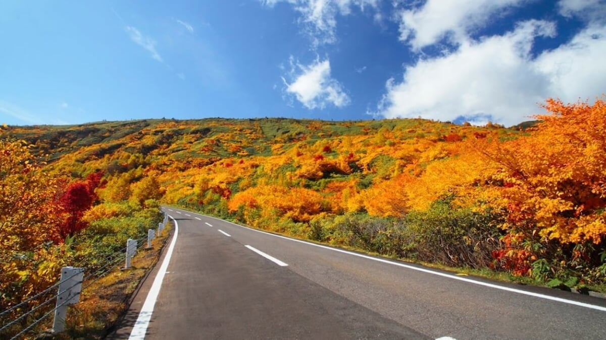 Hachimantai: A Complete Guide | Recommended Tourist Spots & Access
