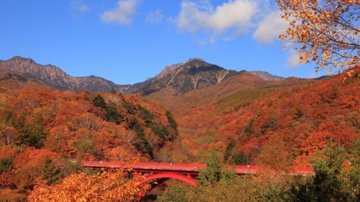 Yamanashi’s Popular Resort! Recommended Tourist Spots to Fully Enjoy Kiyosato Highlands