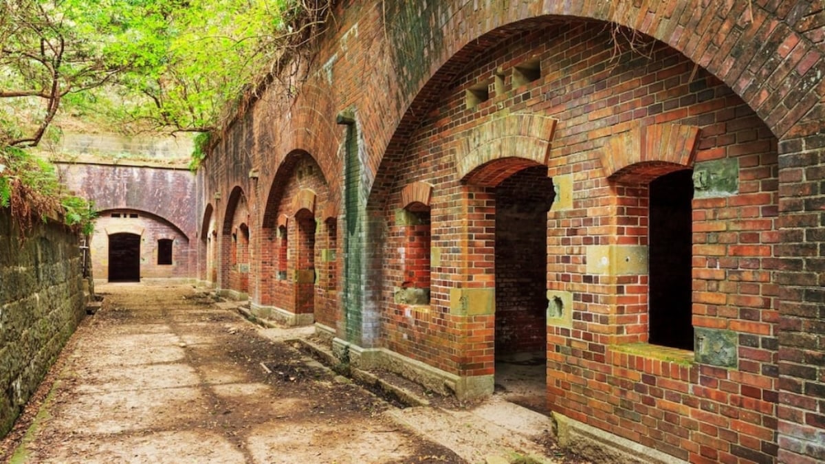 Discover the History, Tourist Attractions, and Access to Tomogashima in Wakayama!