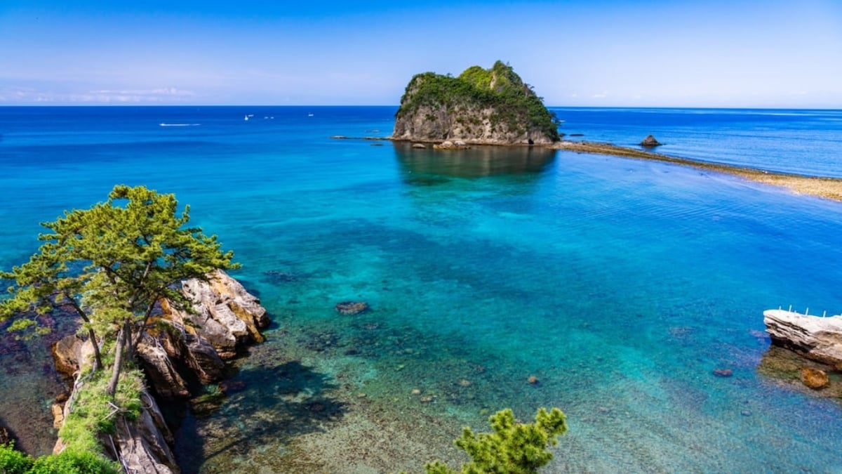 Experience the Mysteries of Nature at the Geospot “Dogashima”!
