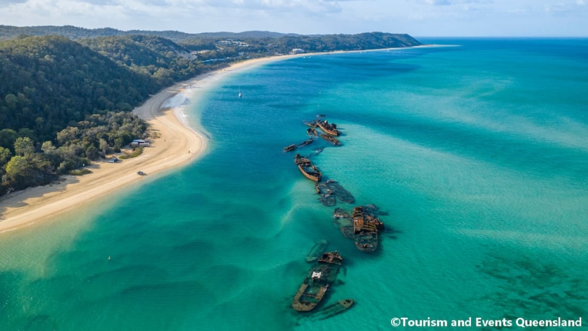 Moreton Island is a beautiful sand island where you can have the ultimate experience of interacting with dolphins