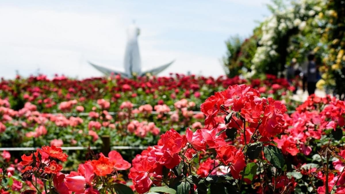 5 must-see tourist spots in Suita City, home to Expo ’70 Commemorative Park! Enjoy tours and hands-on experiences