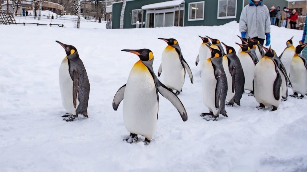 Fun for the whole family! 4 carefully selected tourist spots in Asahikawa, Hokkaido!