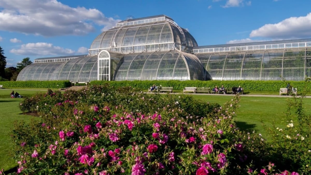 【UK World Heritage Site】Introducing the highlights of the Royal Botanic Gardens, Kew!