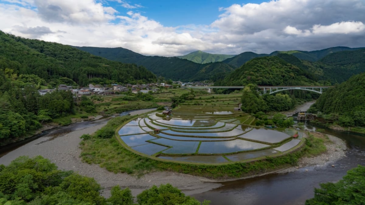 5 unique spots in Aridagawa Town, Wakayama Prefecture, where you can enjoy nature and history
