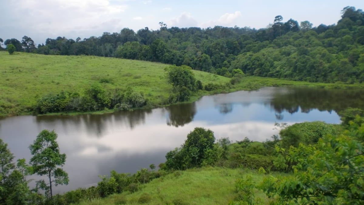 [Thailand] How to enjoy Khao Yai National Park? | Introducing entrance fees and how to get around