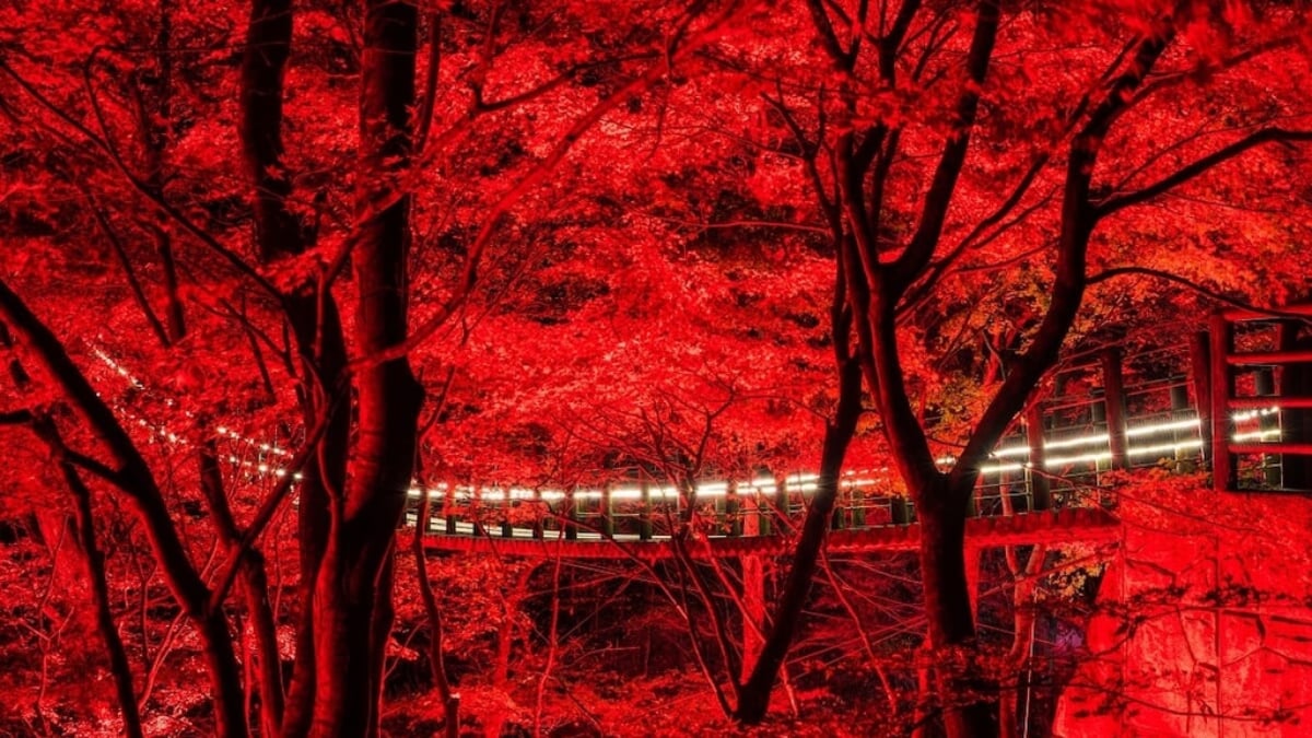 We introduce 5 recommended sightseeing spots in Takahagi City, Ibaraki Prefecture!