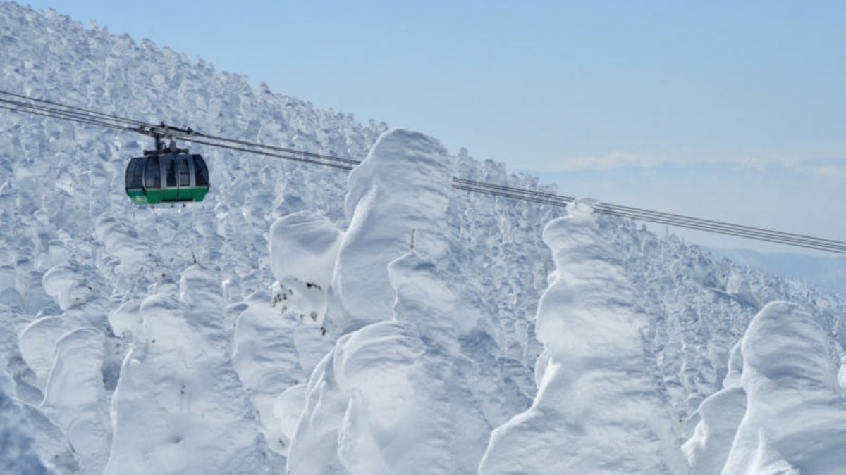 Enjoy twice as much when you go as a couple!? 4 recommended date spots in Yamagata Prefecture