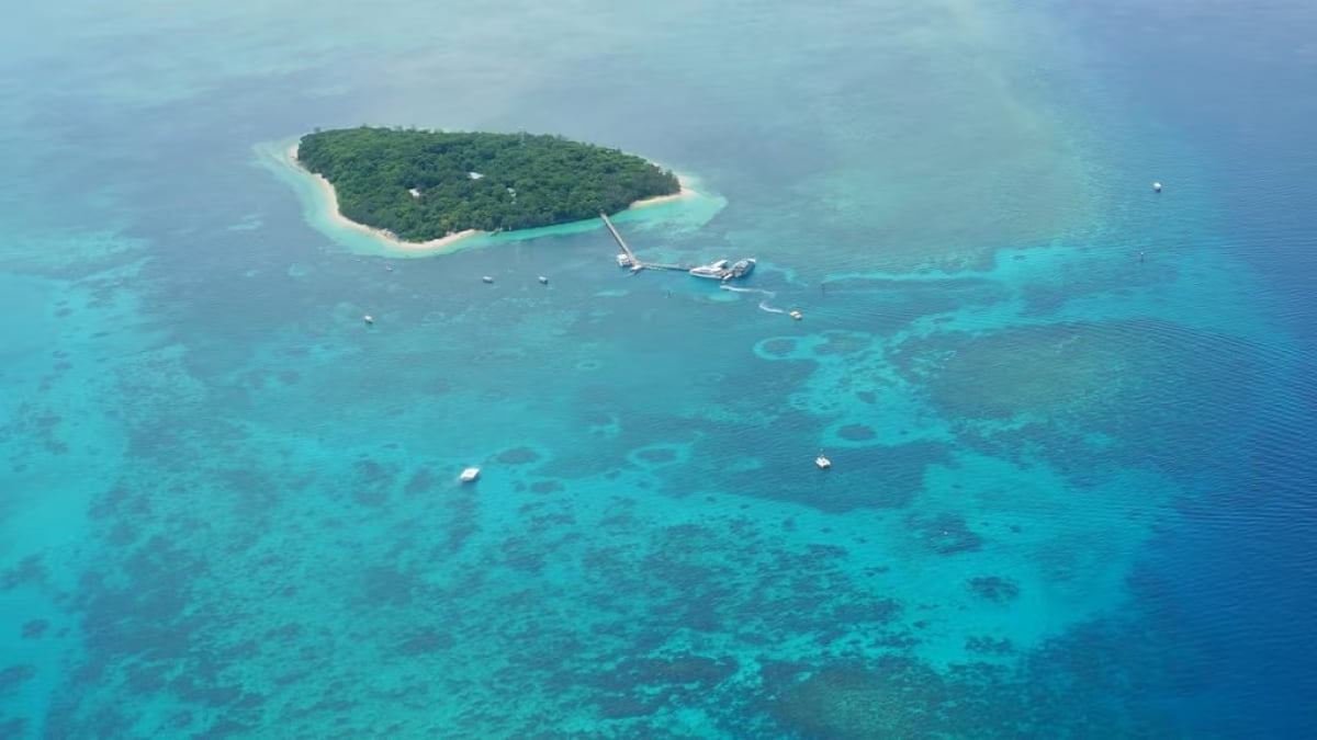 Introducing tourist information about Green Island!｜How to get there and recommended tours