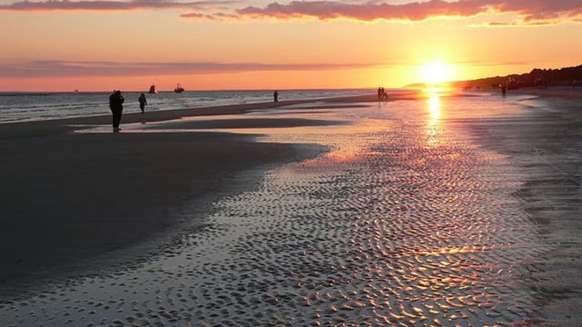 4 Recommended Tourist Spots in Hilton Head Island!