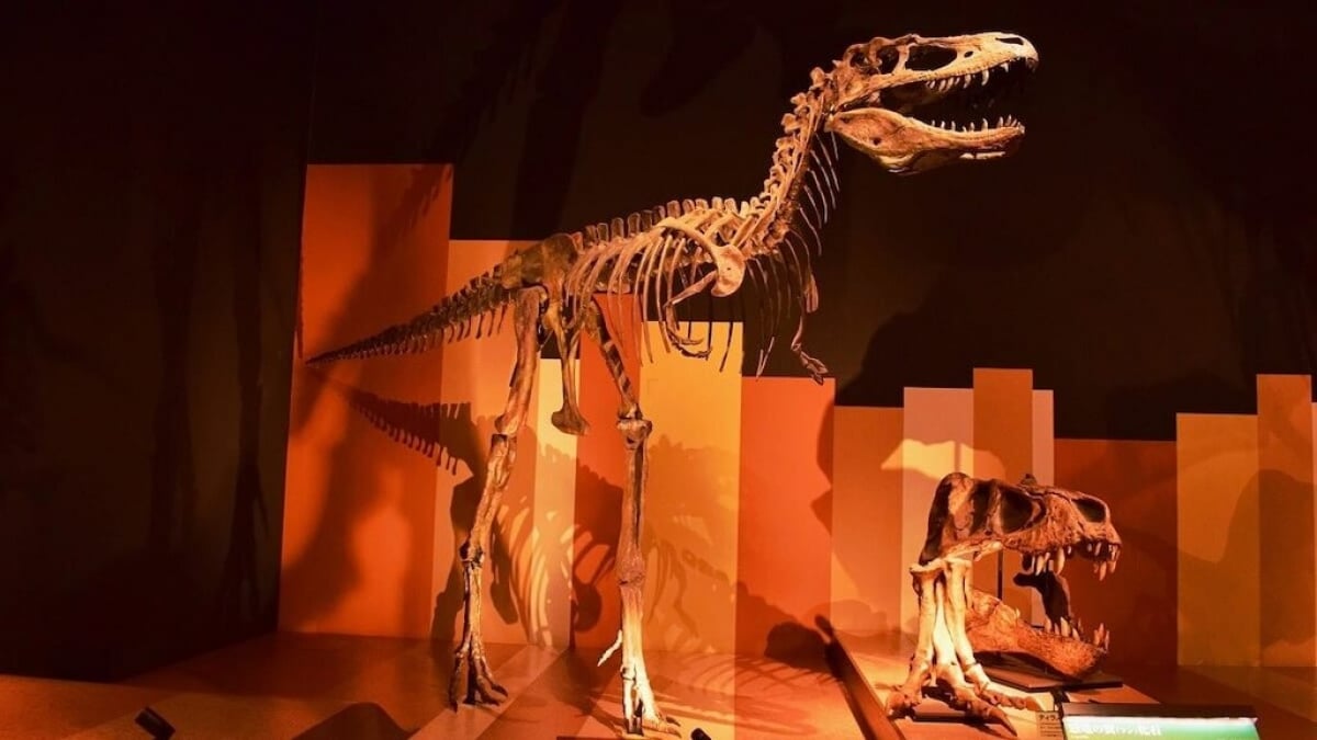 Learn About the History of the Earth at the Iwaki City Coal & Fossil Museum “Horuru” in Fukushima Prefecture