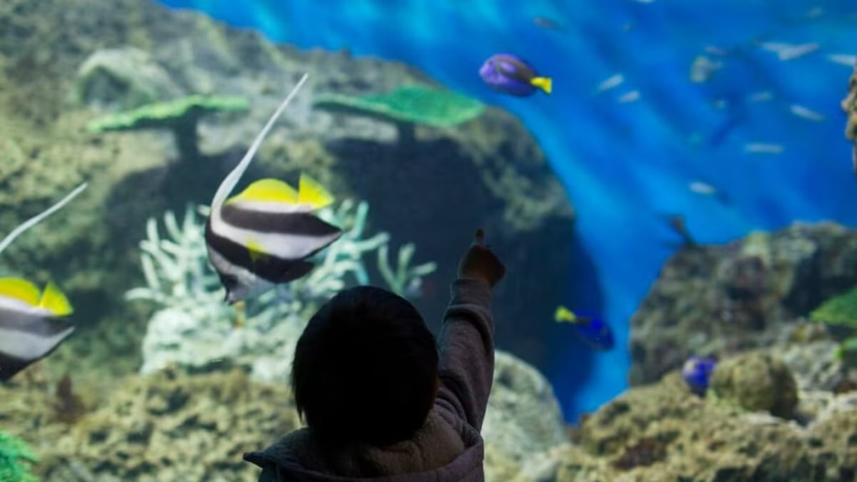 8 Must-Visit Leisure Spots in Ibaraki You Can Only Experience During Your Trip