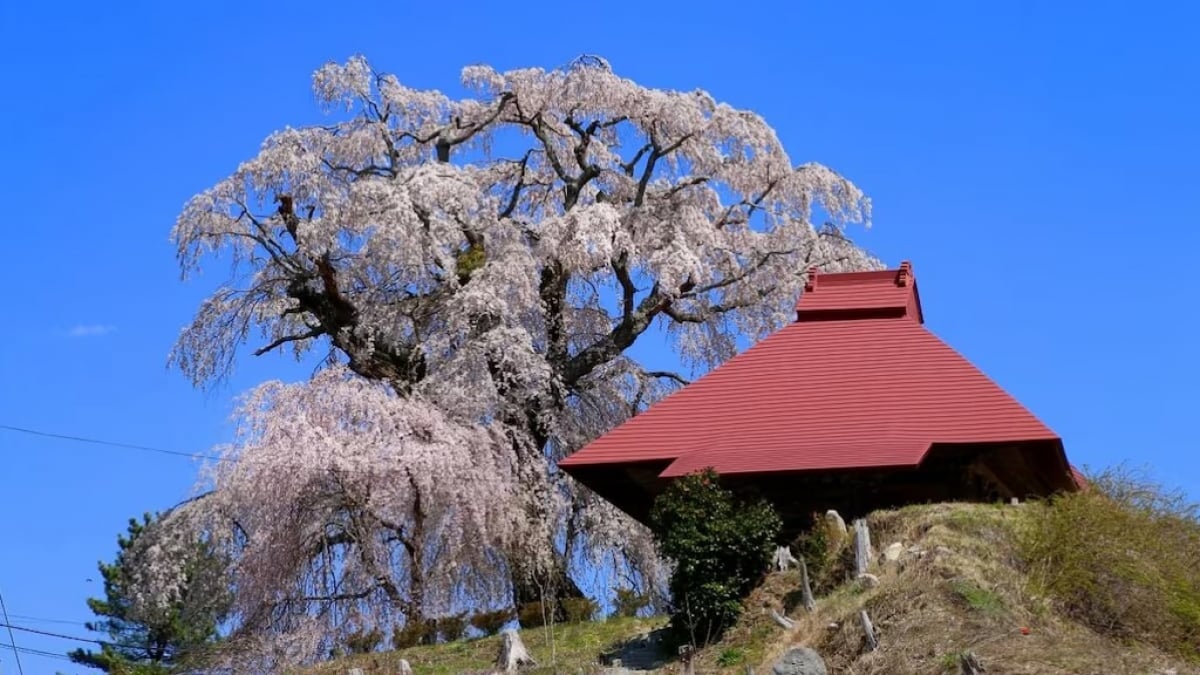 5 Carefully Selected Tourist Spots with Views of Mt. Tamura Fuji in Funahiki Town and Surrounding Areas of Tamura City