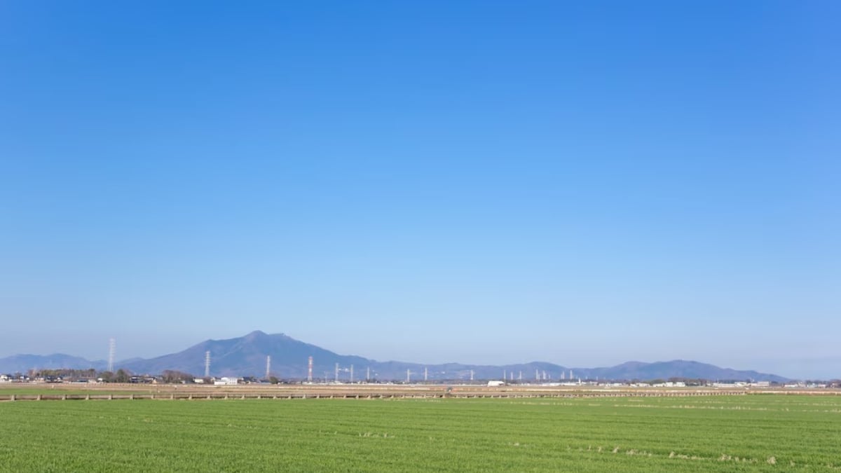 Fully Enjoy Shimotsuma! 6 Popular and Charming Tourist Destinations