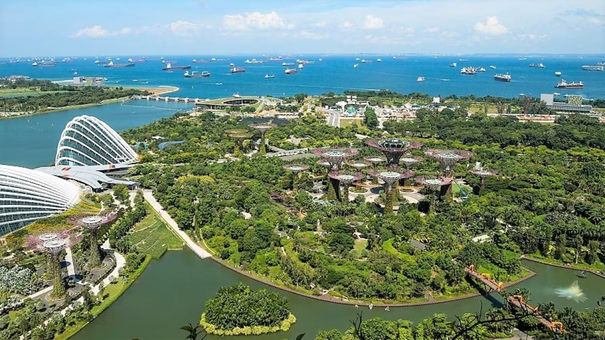 Discover the top attractions at Singapore’s iconic Gardens by the Bay!