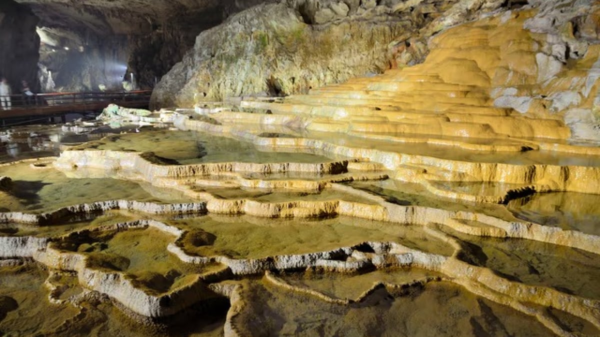 Akiyoshidai in Mine City: A Mysterious Space Shaped by Time! 4 Aboveground and Underground Tourist Spots
